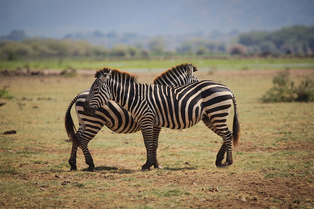 Arusha-National-Park